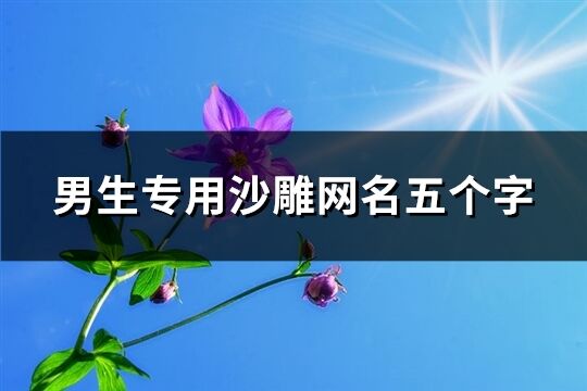 男生專用沙雕網(wǎng)名五個字(精選339個)
