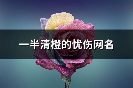 一半清橙的憂傷網(wǎng)名(優(yōu)選471個)