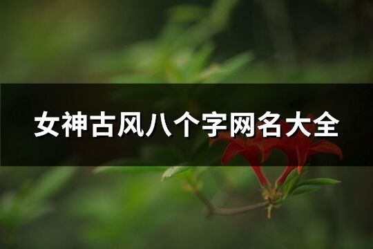 女神古風八個字網名大全(共619個)