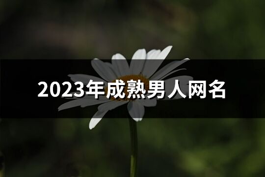 2023年成熟男人網名(360個)