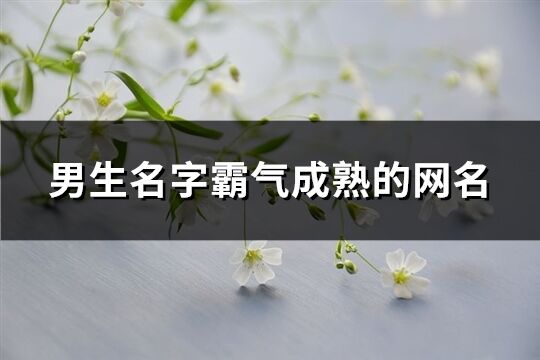男生名字霸氣成熟的網名(精選277個)