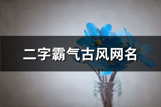 二字霸氣古風網名(194個)