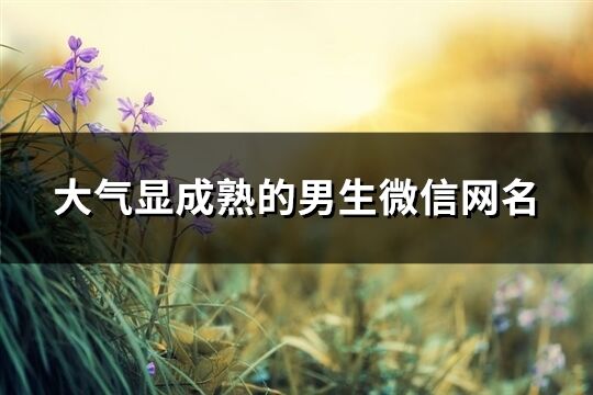 大氣顯成熟的男生微信網名(精選101個)