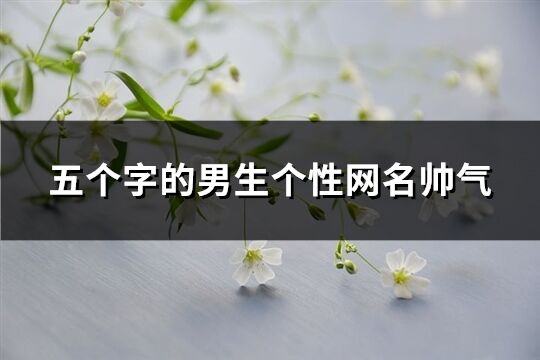 五個(gè)字的男生個(gè)性網(wǎng)名帥氣(共54個(gè))