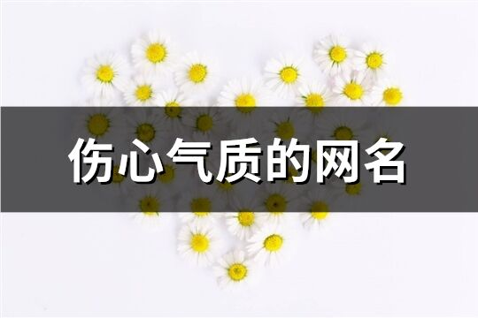 傷心氣質的網(wǎng)名(共276個)