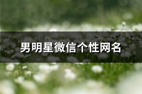 男明星微信個性網名(183個)