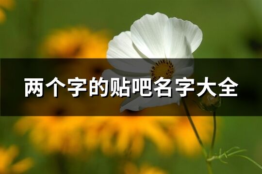 兩個字的貼吧名字大全(175個)