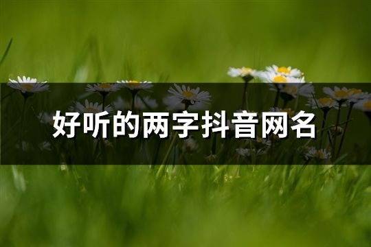 好聽的兩字抖音網名(共193個)