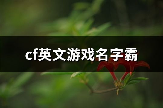 cf英文游戲名字霸(200個)