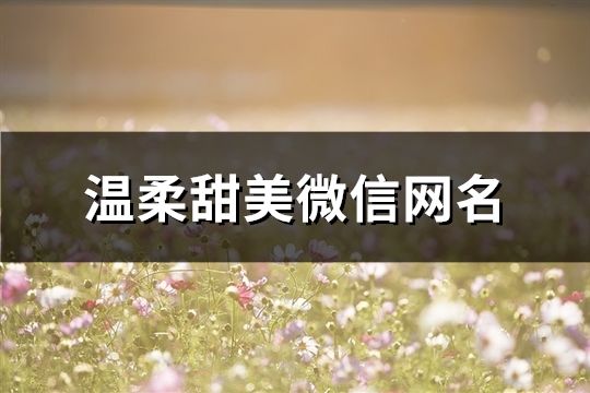 溫柔甜美微信網(wǎng)名(共185個(gè))