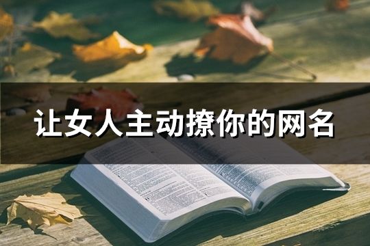 讓女人主動撩你的網名(精選69個)