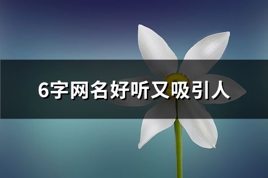 6字網(wǎng)名好聽又吸引人(共164個)