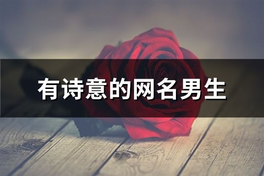 有詩意的網名男生(共145個)