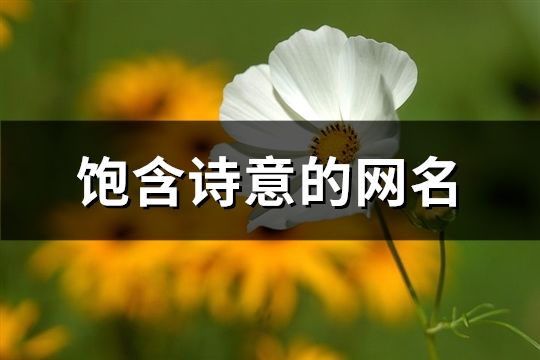 飽含詩意的網(wǎng)名(共69個(gè))