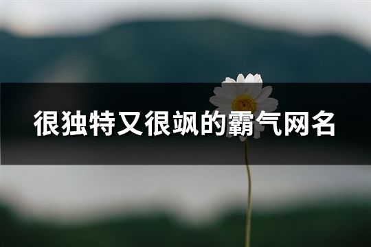 很獨特又很颯的霸氣網名(共72個)