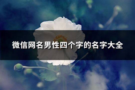 微信網名男性四個字的名字大全(103個)