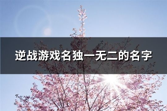 逆戰游戲名獨一無二的名字(159個)