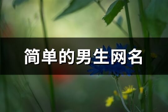 簡單的男生網名(共71個)