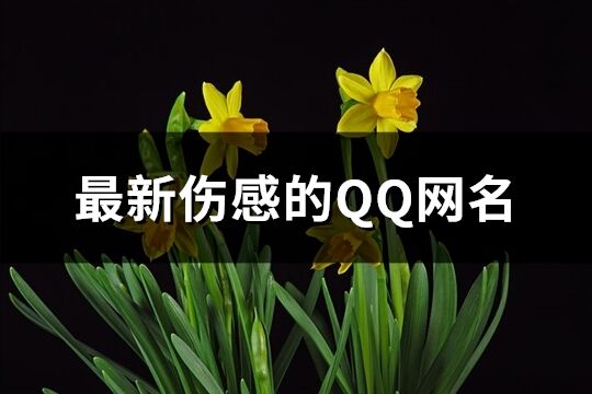 最新傷感的QQ網名(共241個)