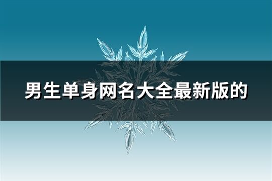 男生單身網名大全最新版的(共281個)