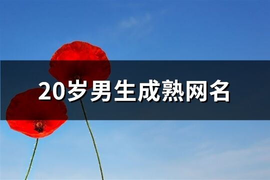 20歲男生成熟網名(精選62個)