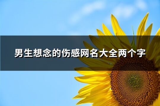男生想念的傷感網名大全兩個字(精選112個)