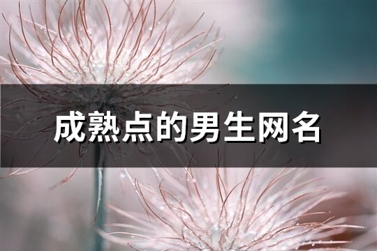 成熟點(diǎn)的男生網(wǎng)名(共158個(gè))