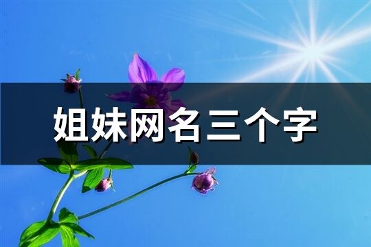 姐妹網(wǎng)名三個字(113個)