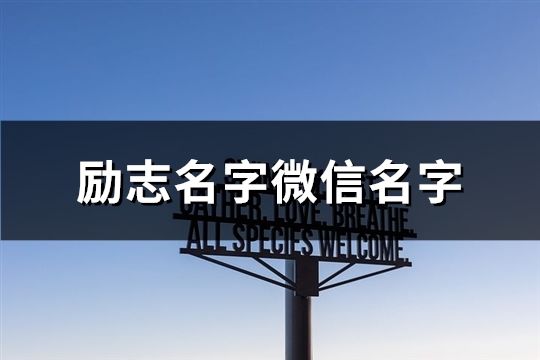 勵(lì)志名字微信名字(共116個(gè))