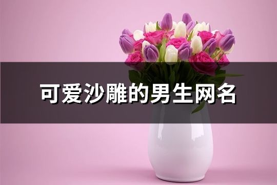可愛沙雕的男生網名(精選84個)