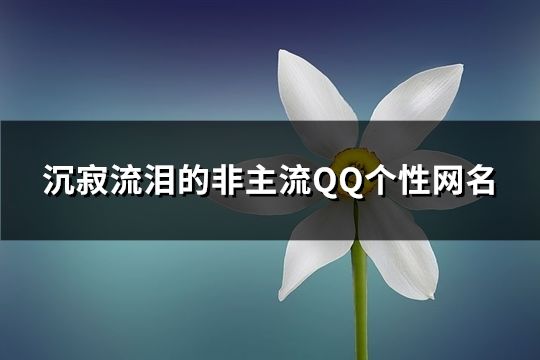 沉寂流淚的非主流QQ個性網名(136個)