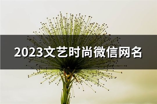 2023文藝時尚微信網名(共146個)
