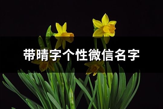 帶晴字個(gè)性微信名字(78個(gè))