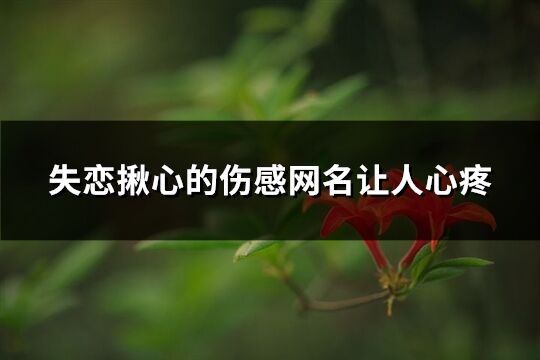 失戀揪心的傷感網名讓人心疼(共274個)