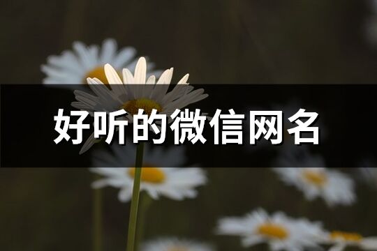 好聽(tīng)的微信網(wǎng)名(精選241個(gè))