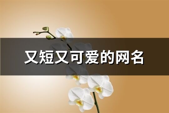 又短又可愛的網名(161個)