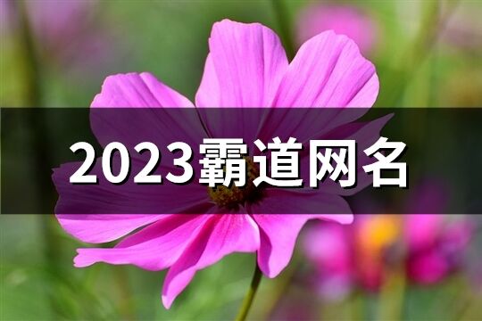 2023霸道網(wǎng)名(精選180個)