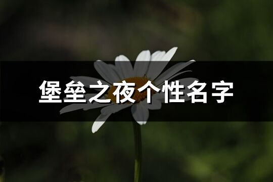 堡壘之夜個性名字(精選171個)