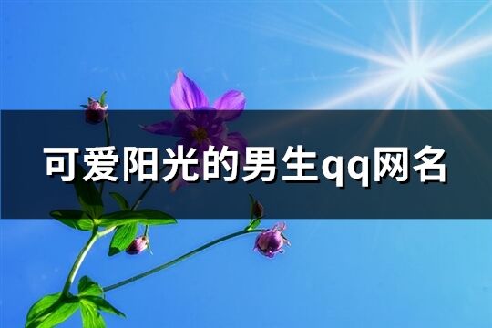可愛陽光的男生qq網(wǎng)名(共117個)