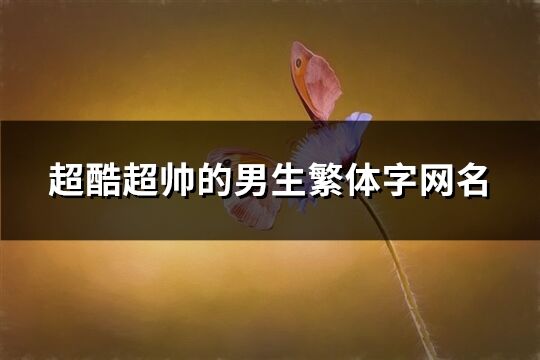 超酷超帥的男生繁體字網名(共276個)