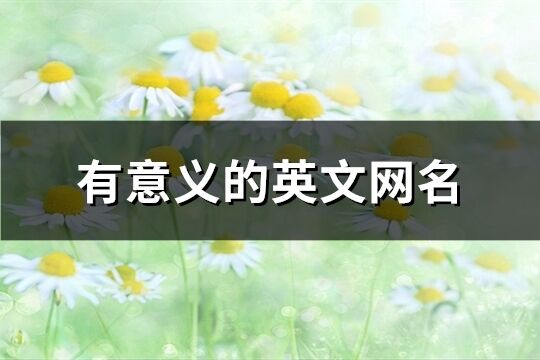 有意義的英文網(wǎng)名(共203個)