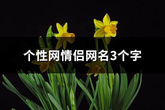 個性網情侶網名3個字(精選115個)