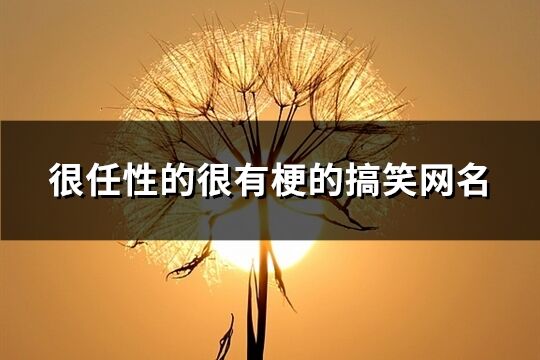 很任性的很有梗的搞笑網(wǎng)名(151個)