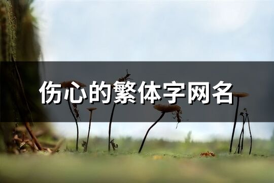 傷心的繁體字網名(共106個)
