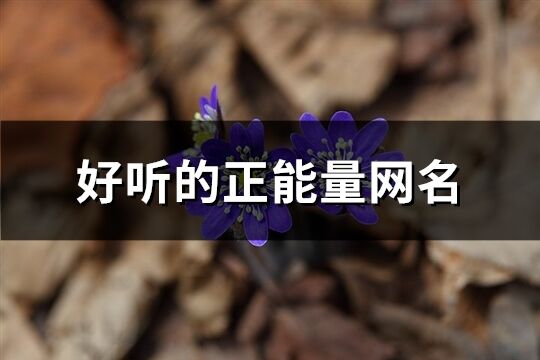 好聽的正能量網(wǎng)名(共73個(gè))
