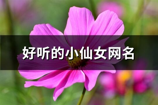 好聽的小仙女網(wǎng)名(295個)