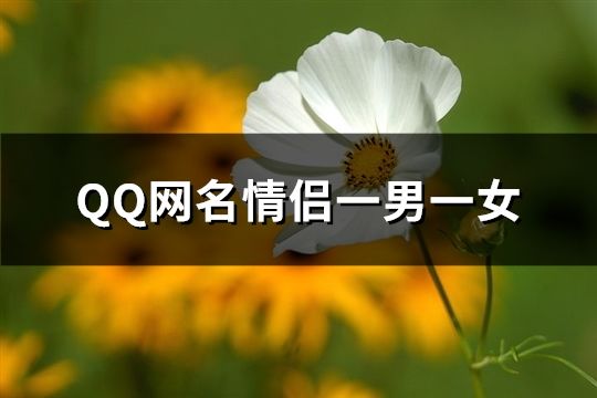 QQ網(wǎng)名情侶一男一女(128個)