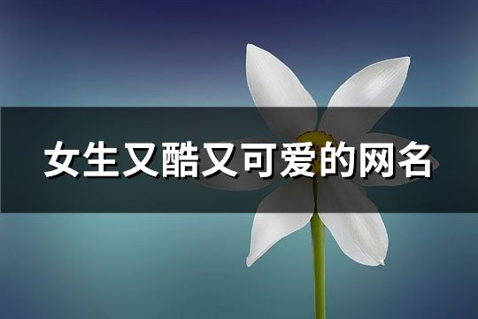 女生又酷又可愛的網(wǎng)名(共169個(gè))