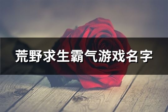 荒野求生霸氣游戲名字(122個)