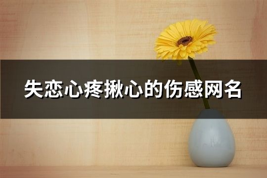 失戀心疼揪心的傷感網名(181個)